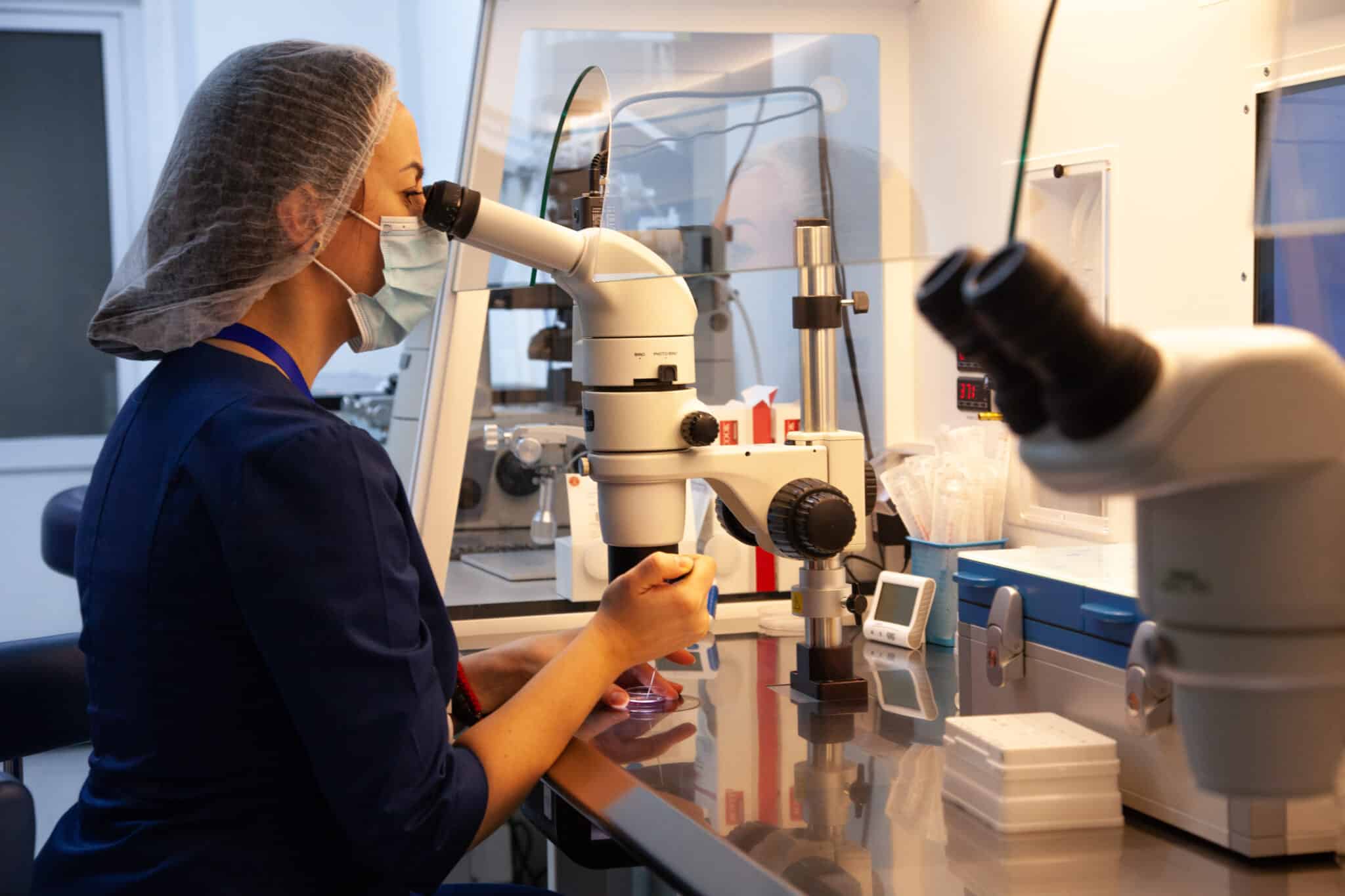 Донорство яйцеклеток донорство яйцеклітини