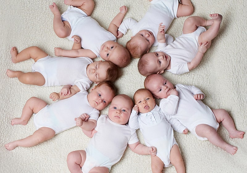 Программа ЭКО с донацией ооцитов (до 6 ооцитов)