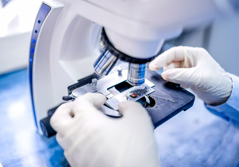 Программа ЭКО с донацией ооцитов + суррогатное материнство