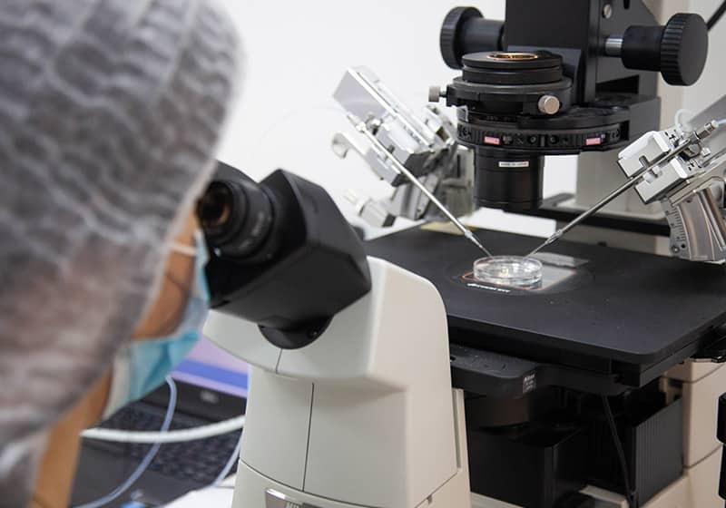 Программа ЭКО "Сохранение репродуктивного здоровья пары при онкопатологии"