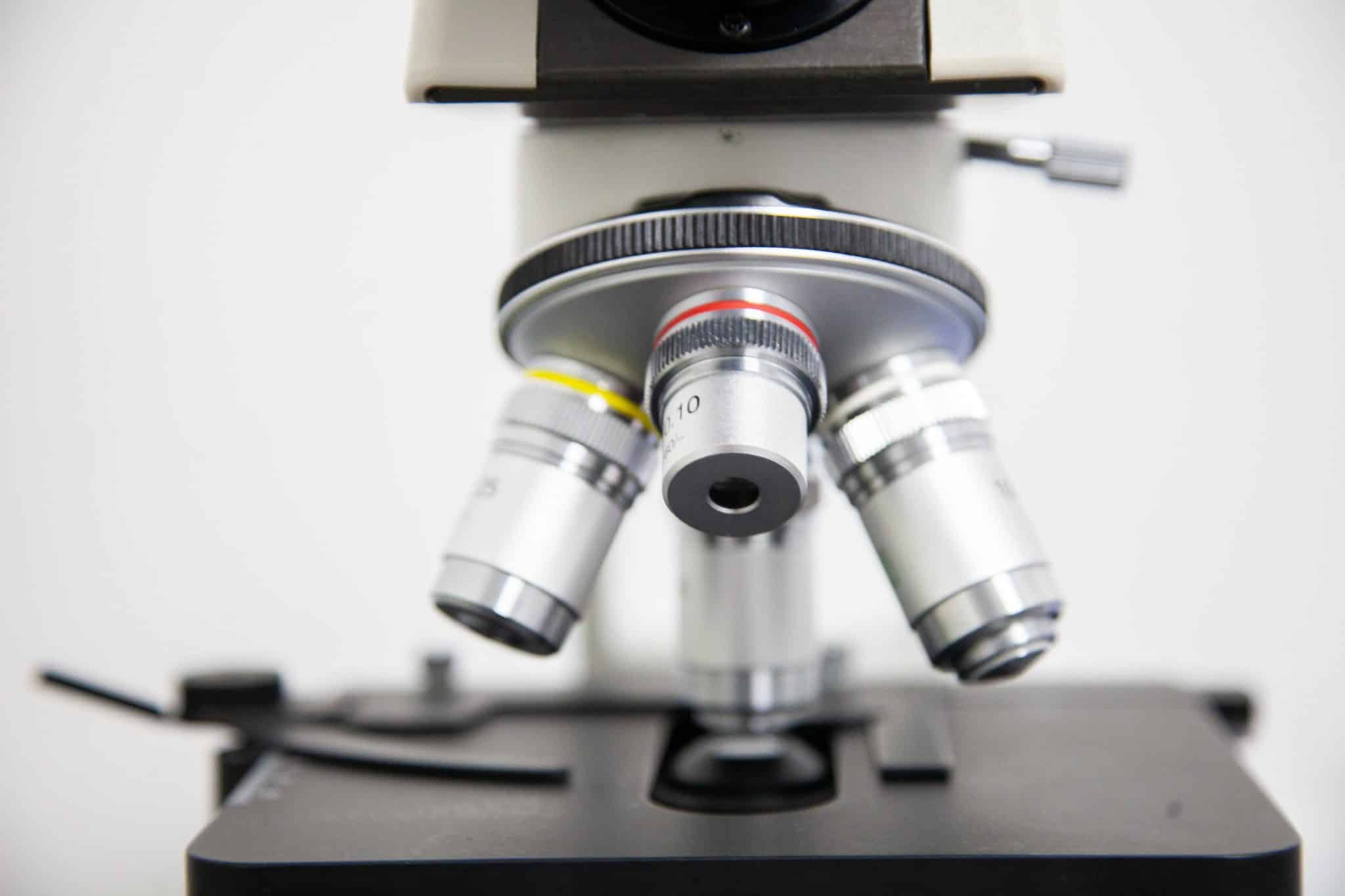 Дерматология Дерматология