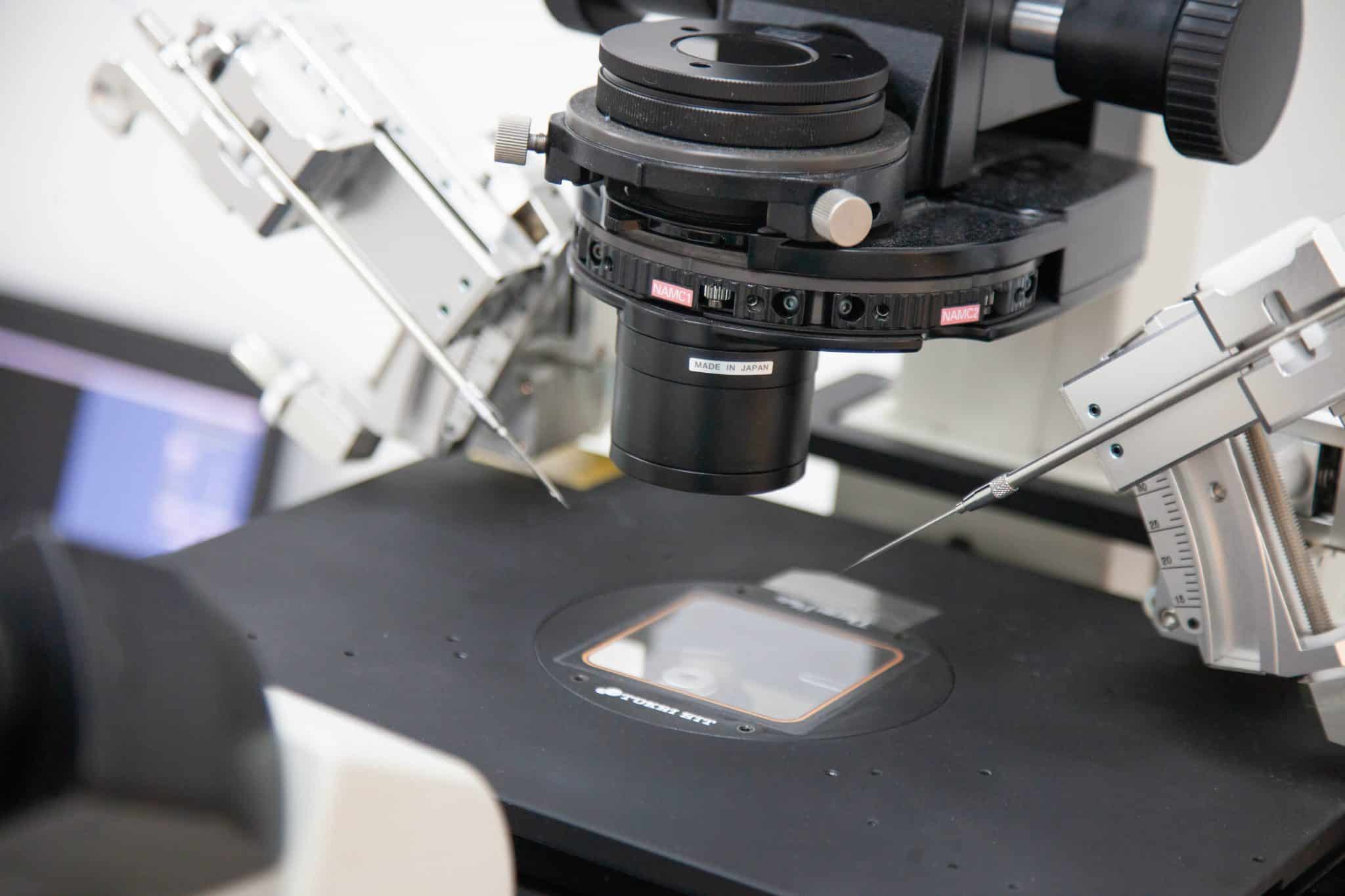 Донорство яйцеклеток Донорство яйцеклеток