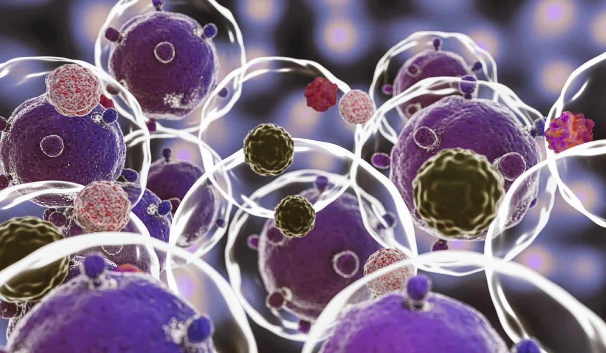 Екзосоми в неврології Екзосоми в неврології