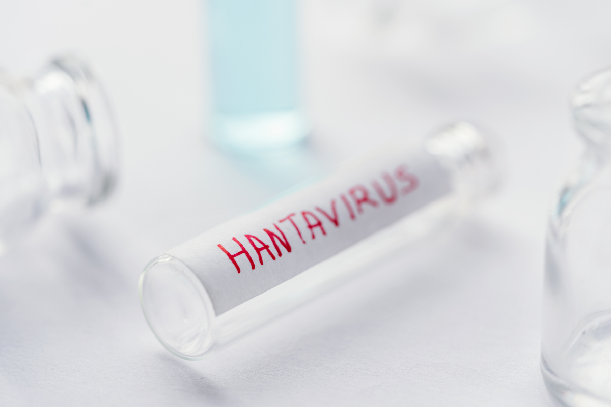 Що таке хантавірусна інфекція та чим хантавірус небезпечний?